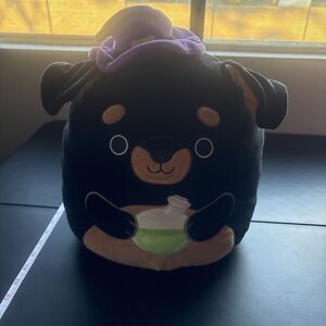 Halloween Themed Medium Sized Rottweiler Dog With Witch Hat/ Potion Squishmallow